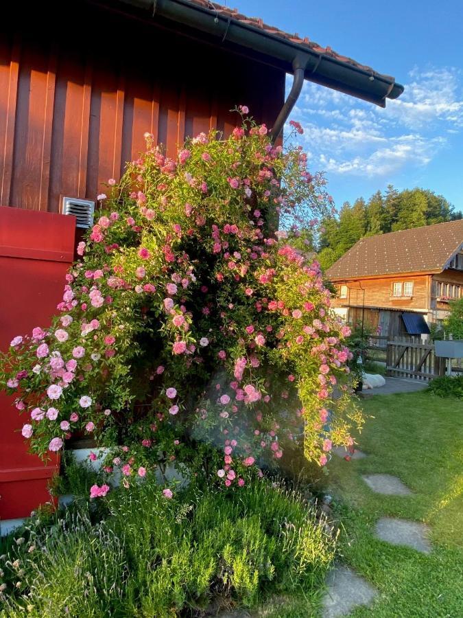 Privatunterkunft Doppelzimmer In Charmantem Hemberg